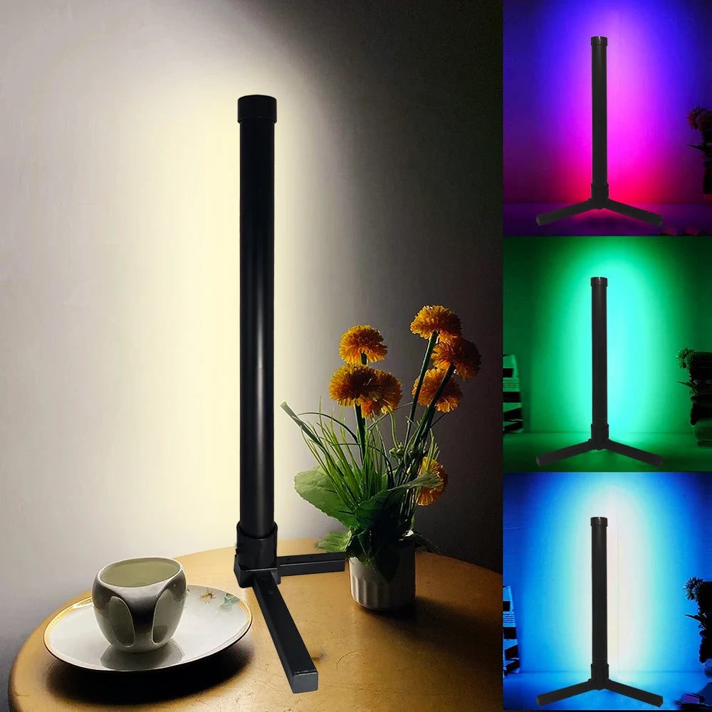 LED ambiance floor lamp