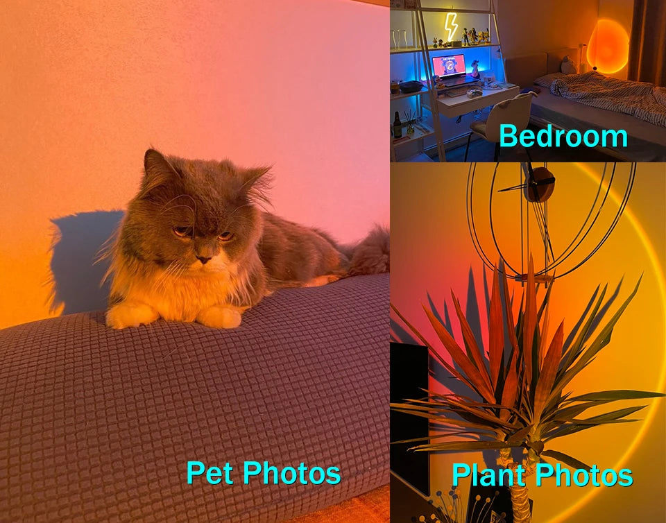Sunset Lamp