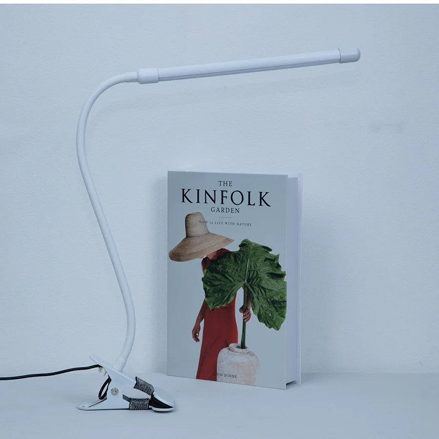 LED Desk Lamp with Clamp Dimmable