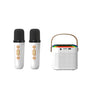 Mini Portable Wireless Speaker Microphone