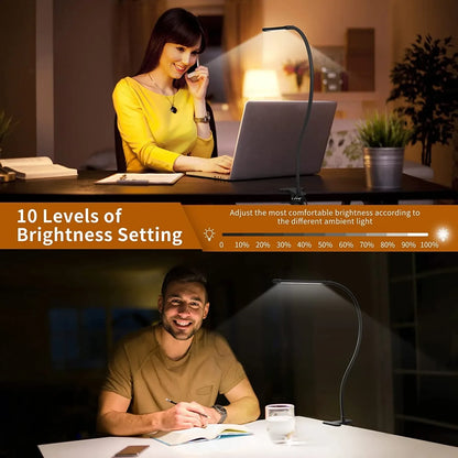 LED Desk Lamp with Clamp Dimmable