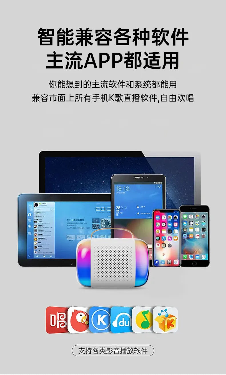 Mini Portable Wireless Speaker Microphone